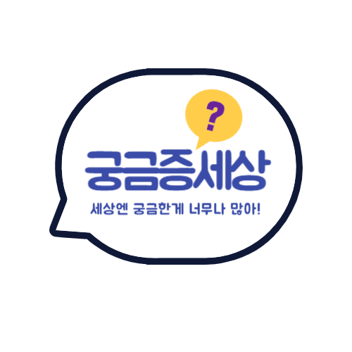프로필사진
