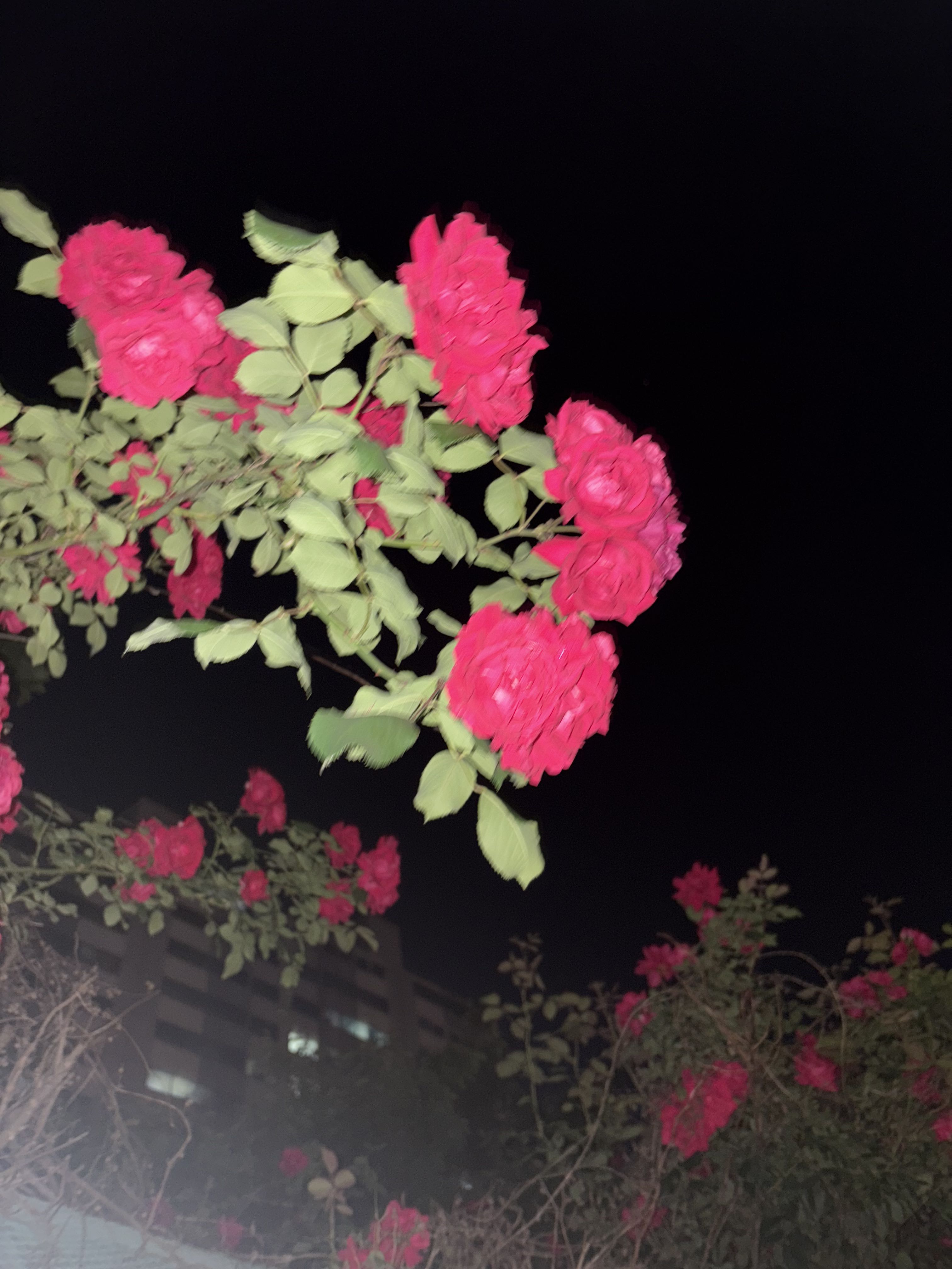 프로필사진