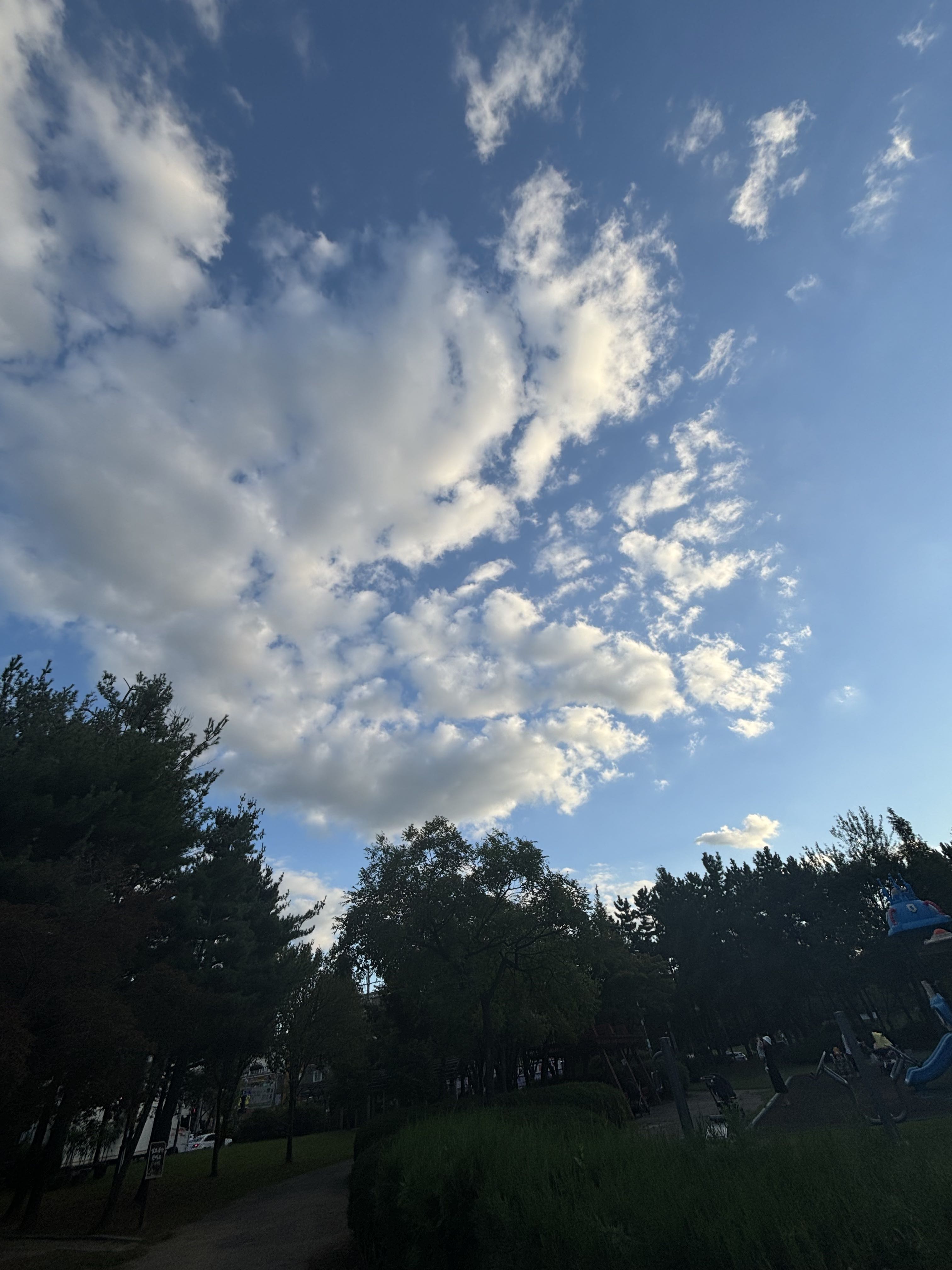 프로필사진