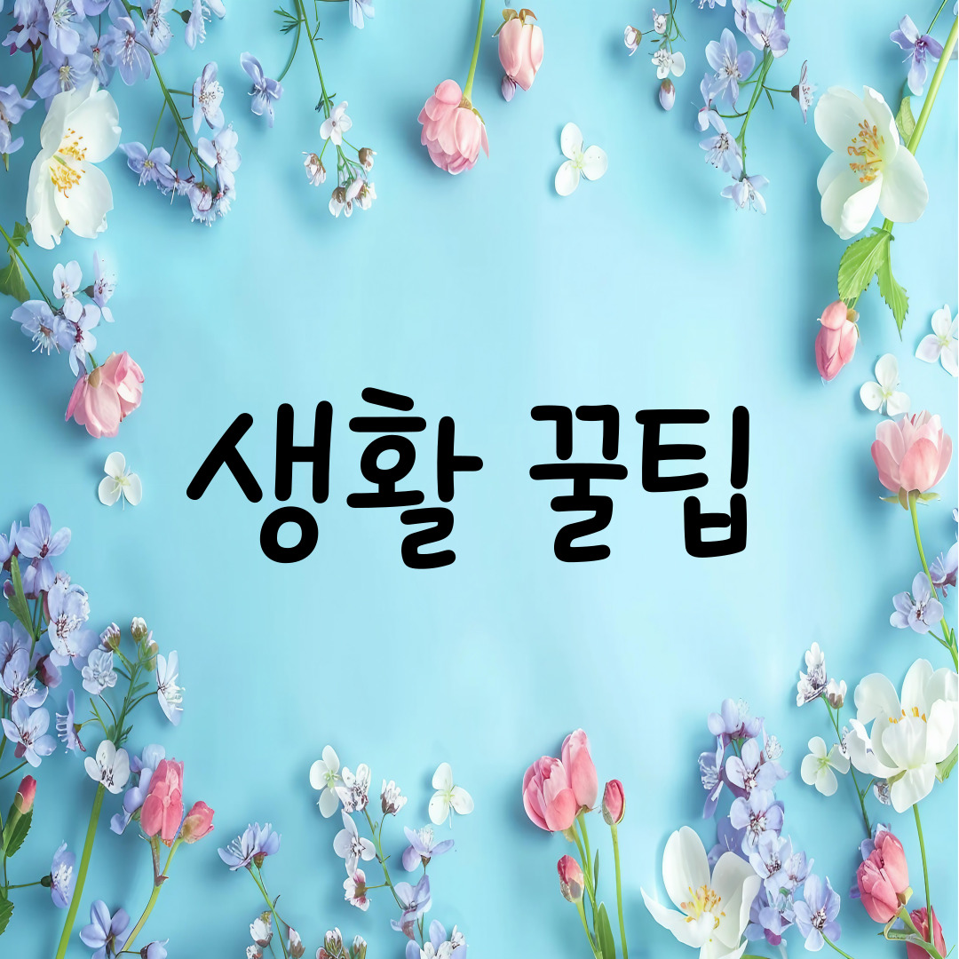 블로그 이미지