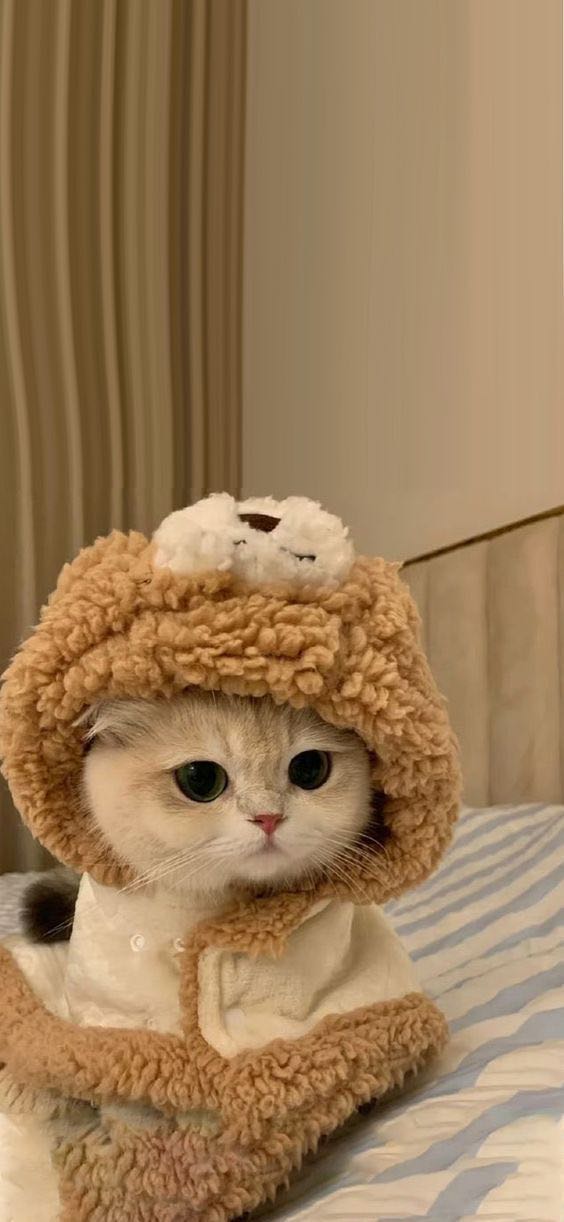 김 준 우