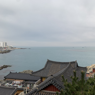 프로필사진
