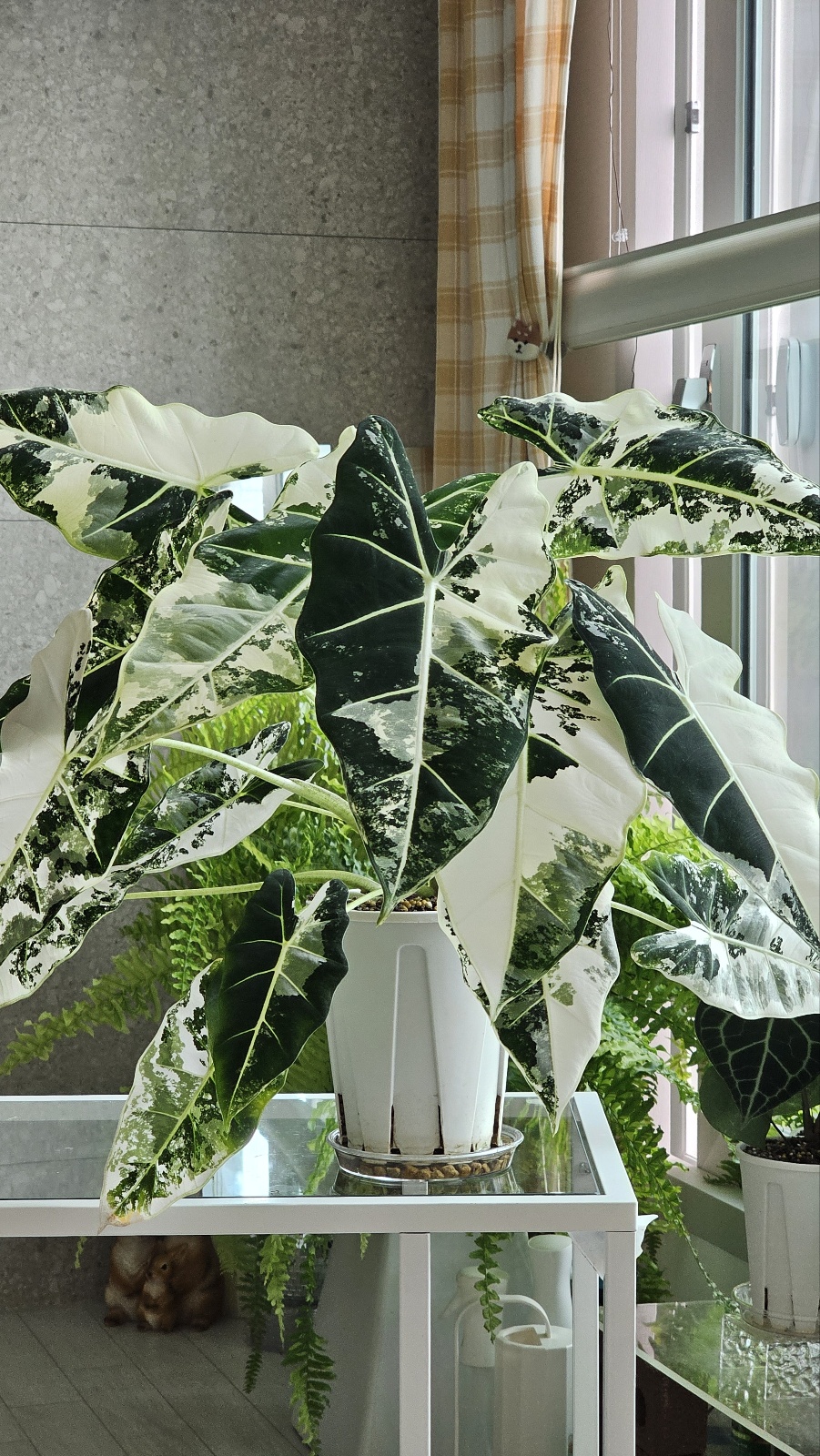 프로필사진