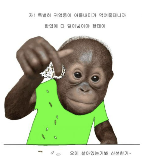 블로그 이미지