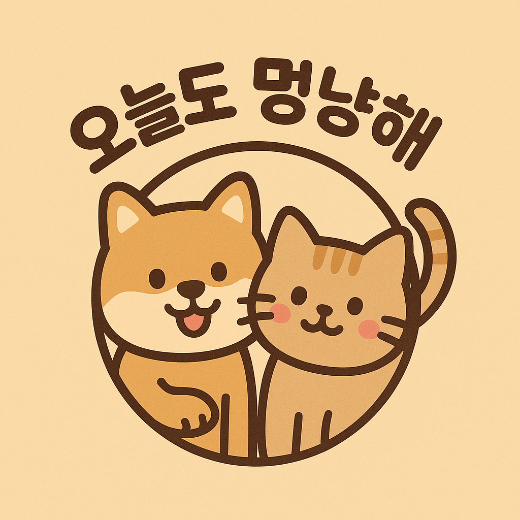 블로그 이미지