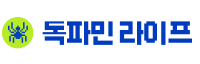 독파민 라이프