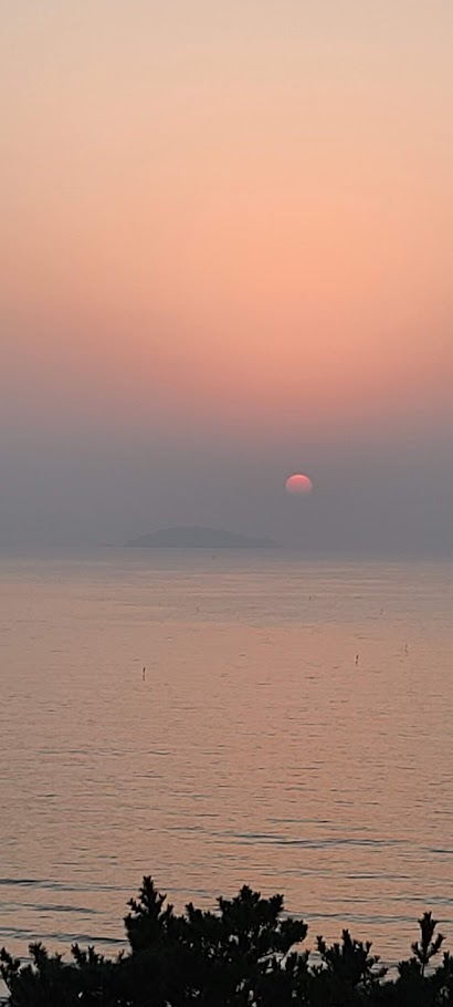 블로그 이미지