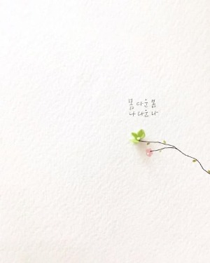 블로그 이미지