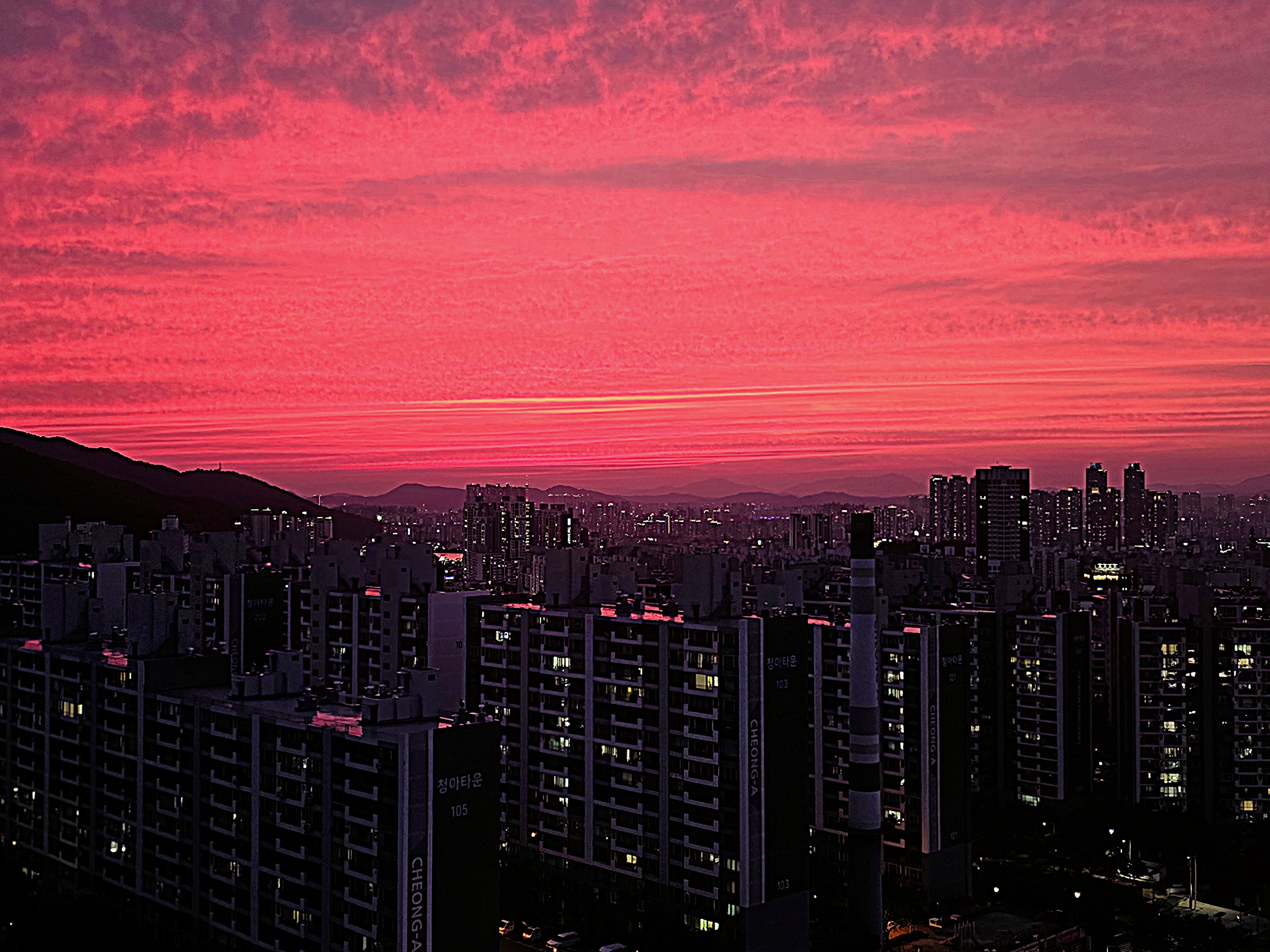 블로그 이미지