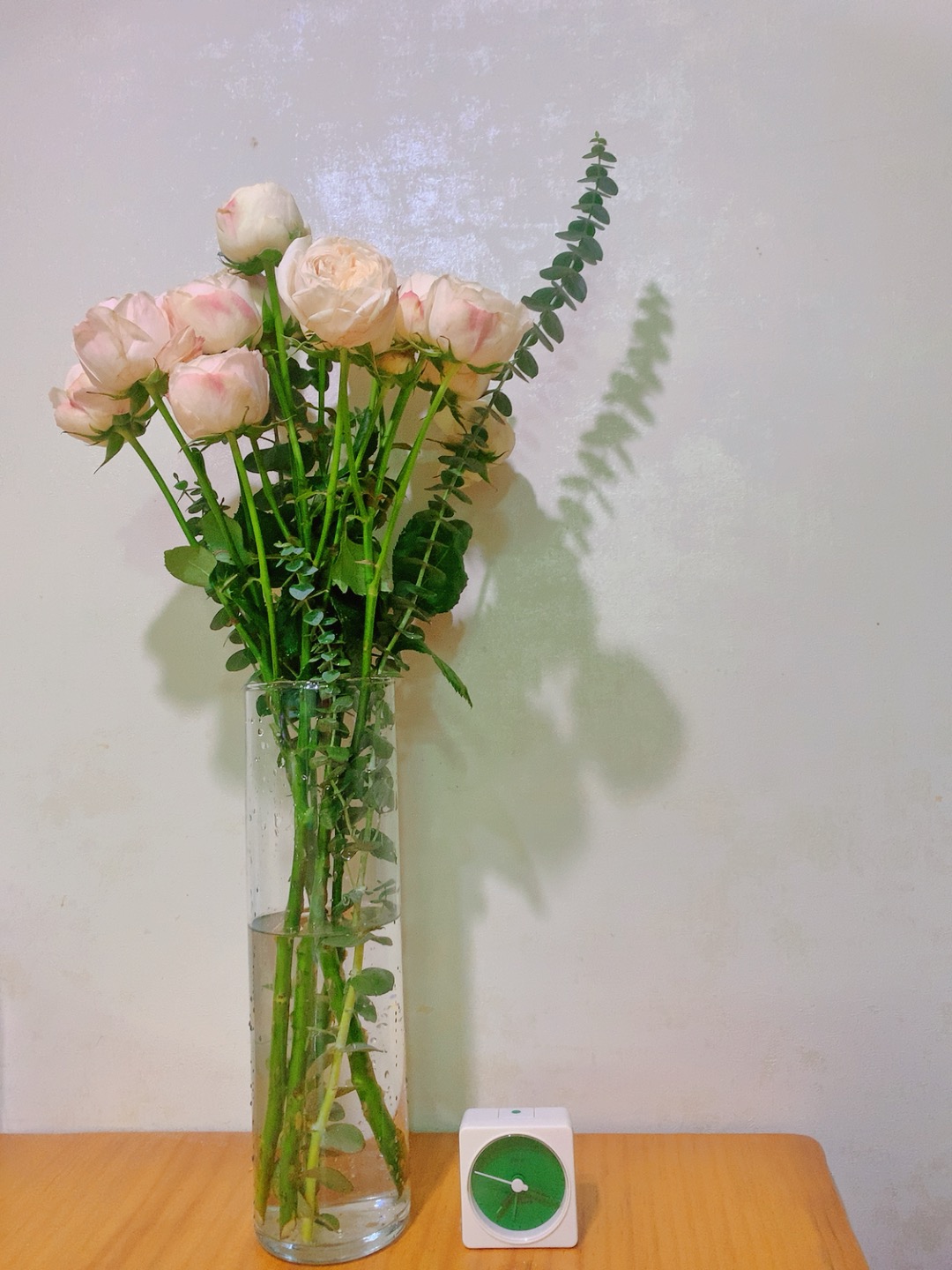 프로필사진