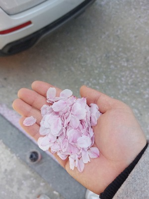 프로필사진
