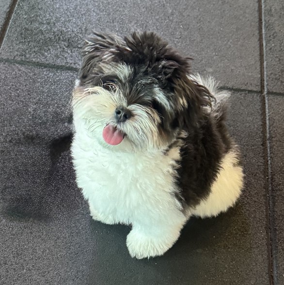 프로필사진