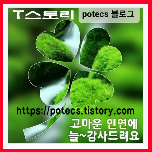 프로필사진