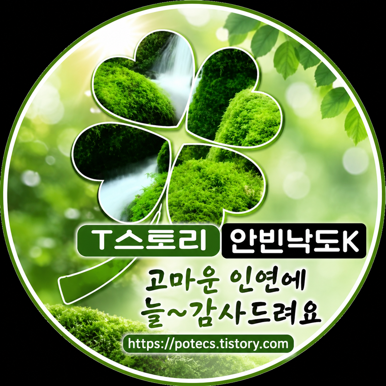 프로필사진