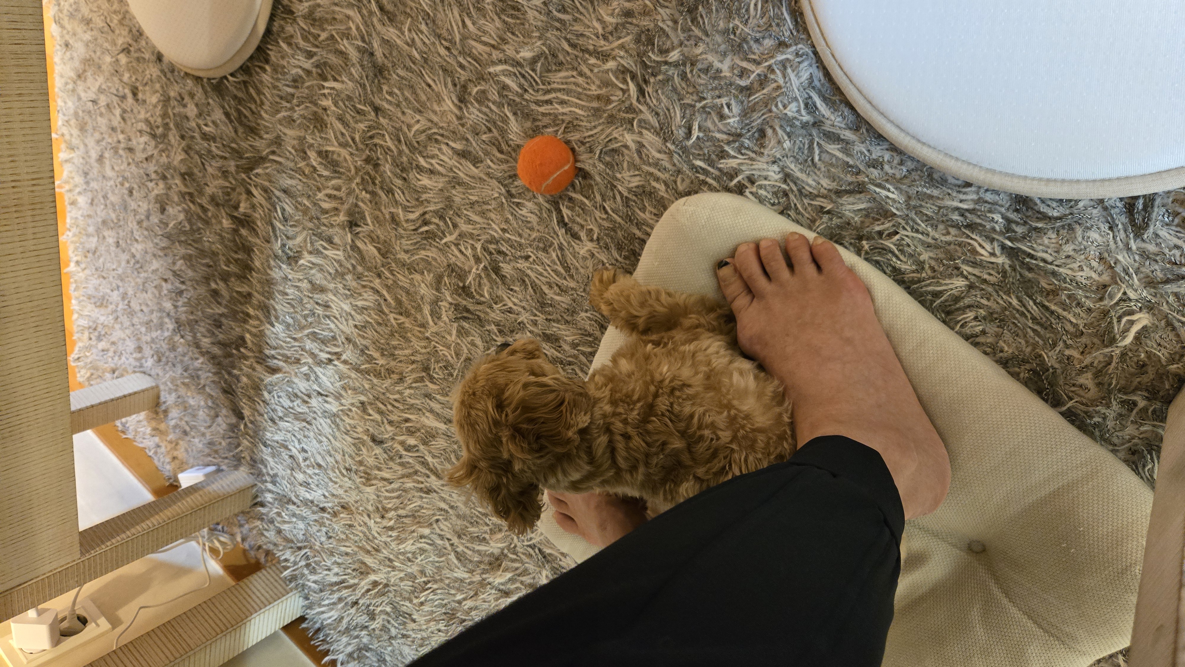 프로필사진