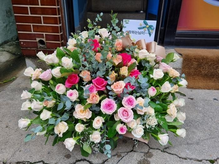 프로필사진