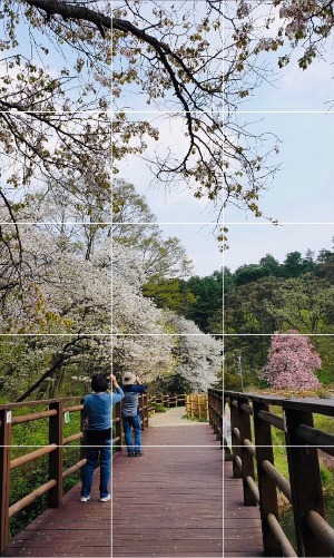 프로필사진