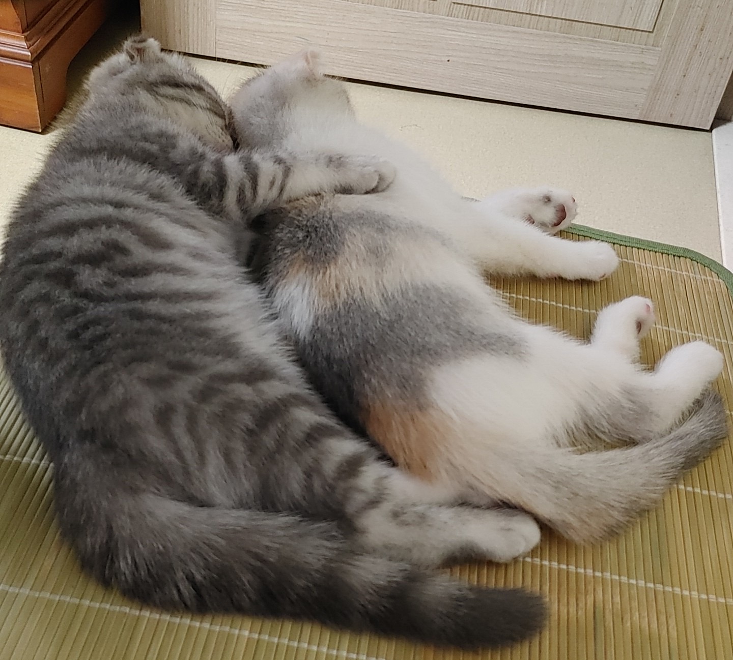 프로필사진