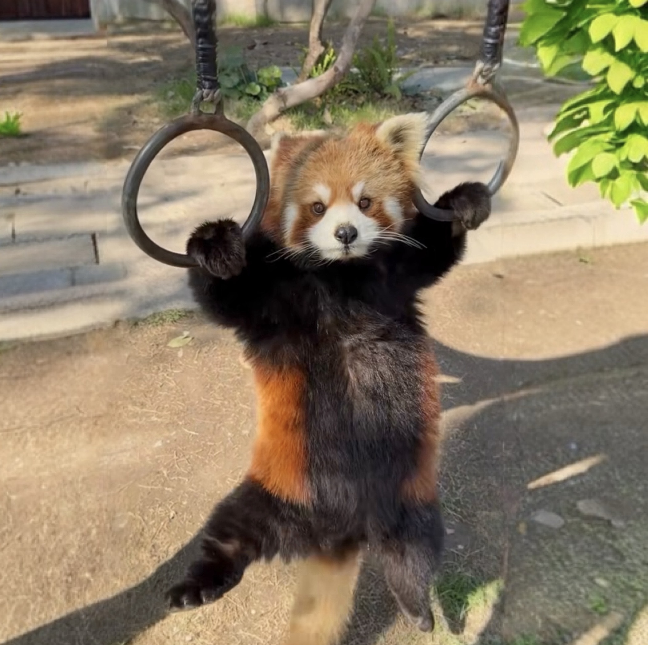 프로필사진