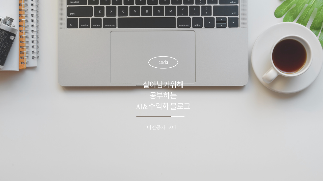비전공자 코다