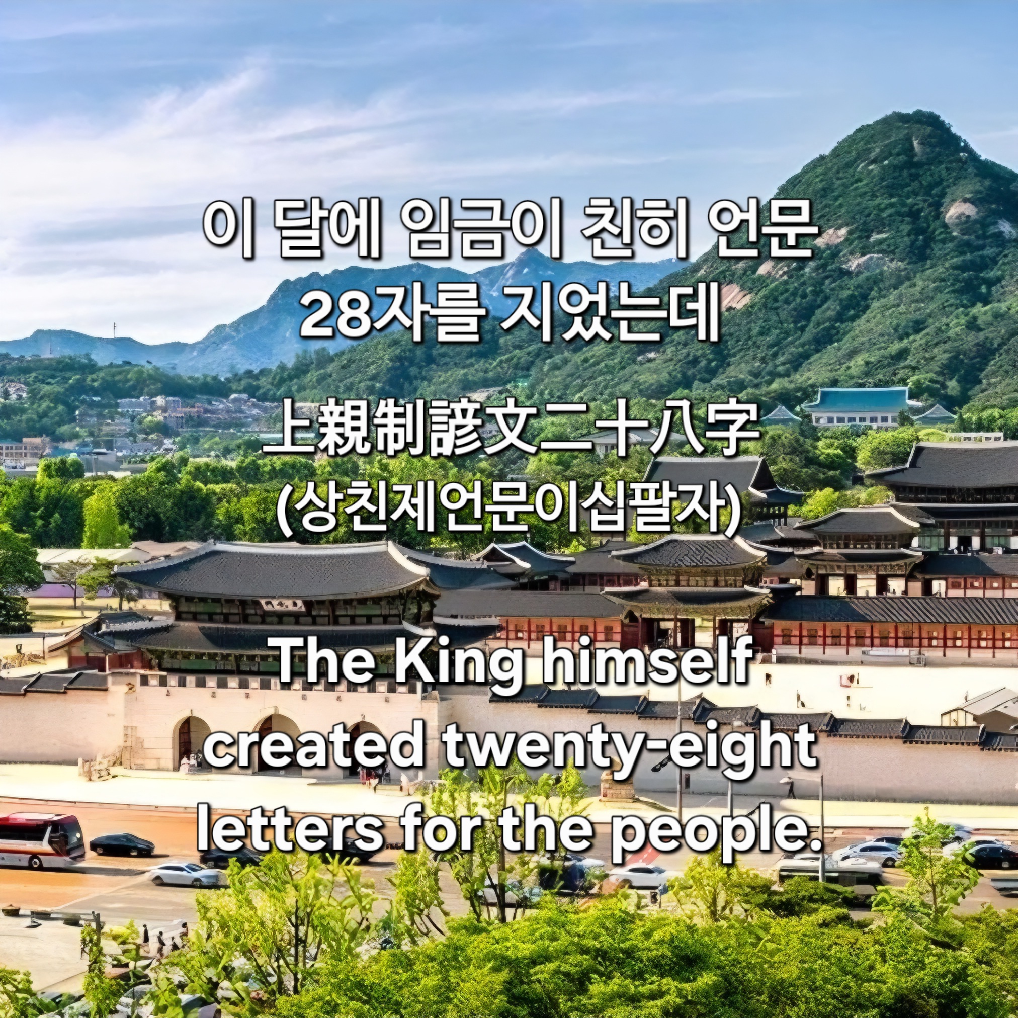 프로필사진