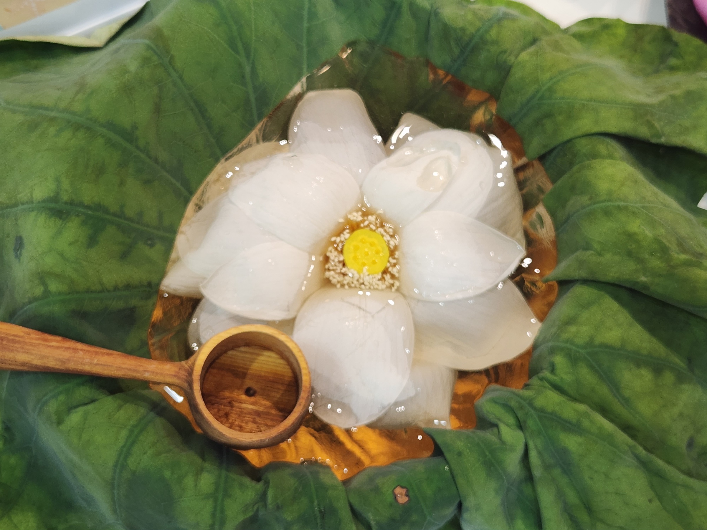프로필 로고