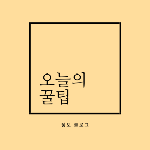 프로필사진