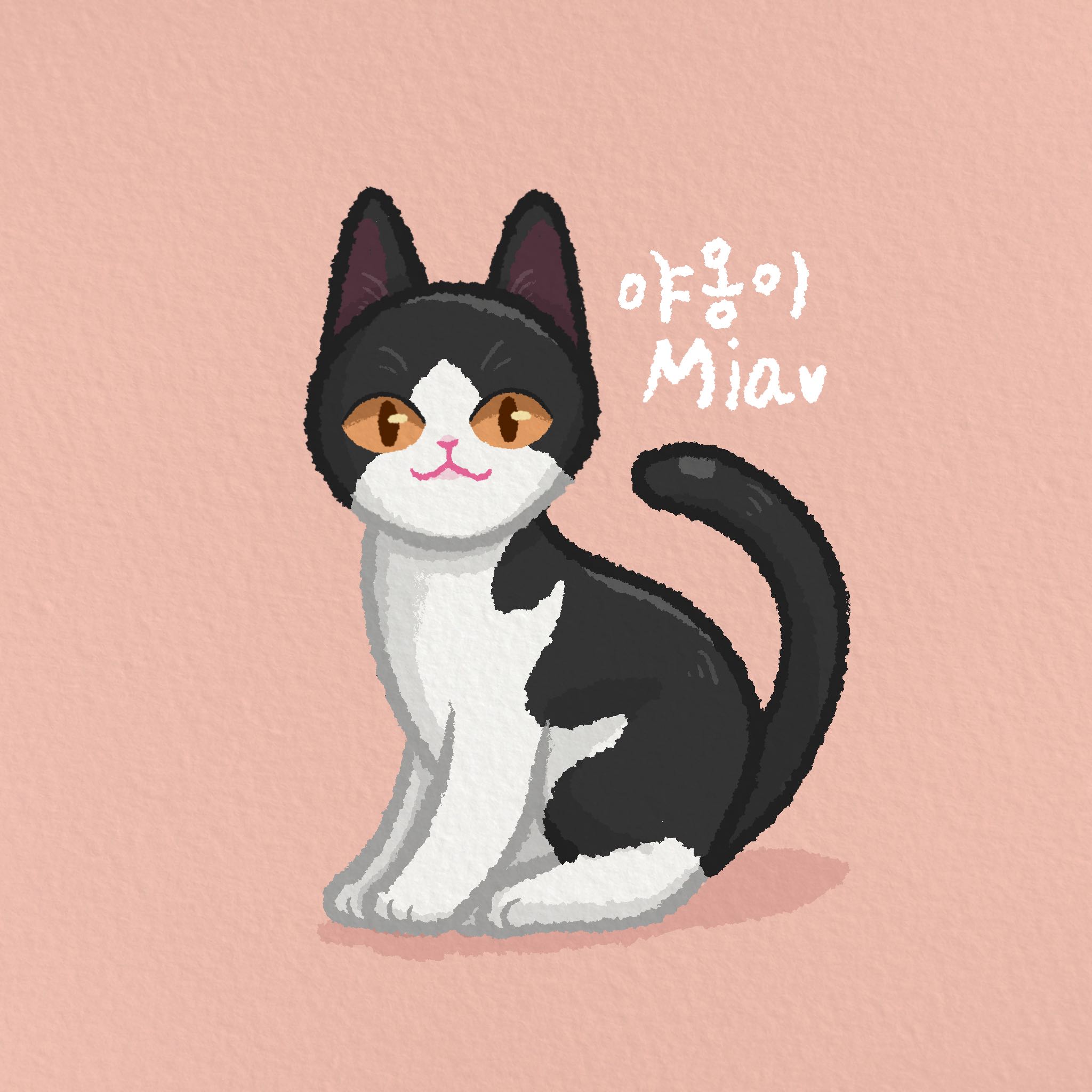 블로그 이미지
