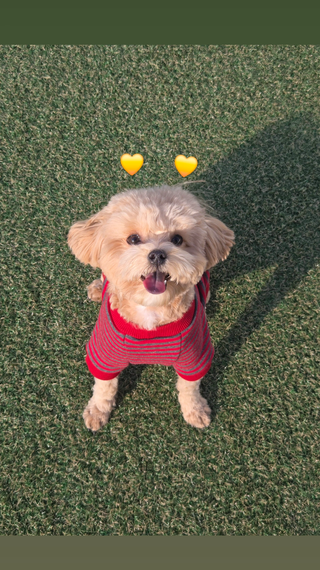 프로필사진