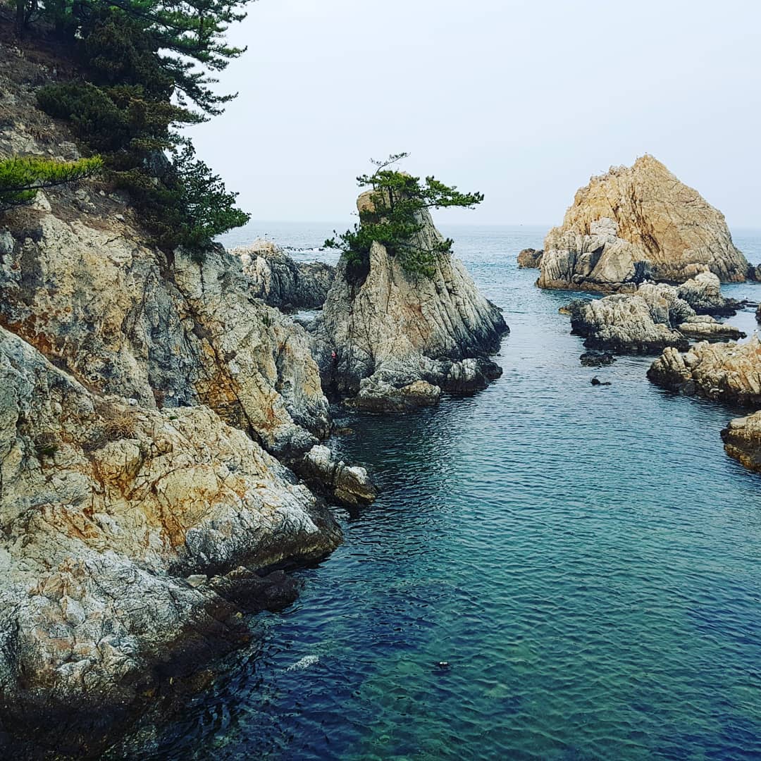 블로그 이미지