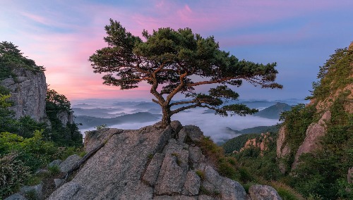 프로필사진
