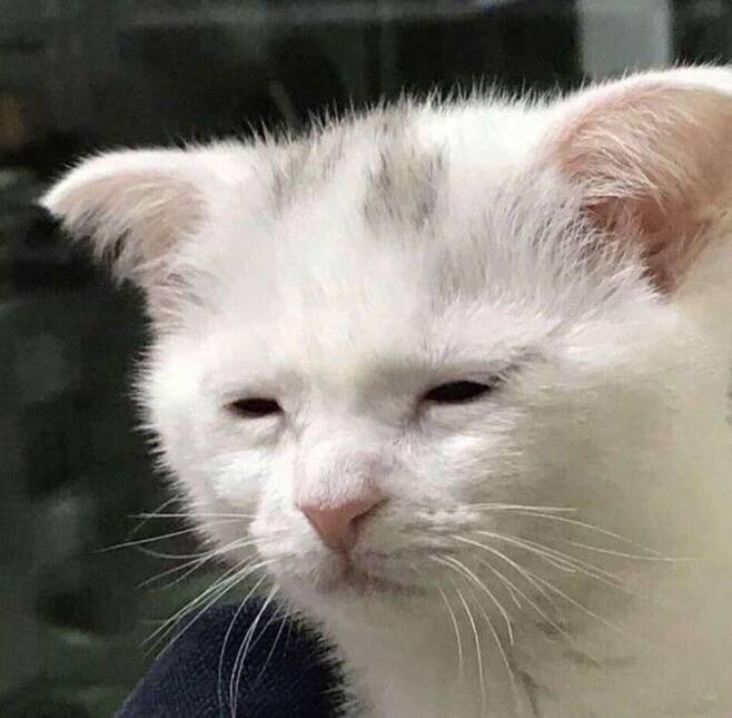 공대생의 취미 전시