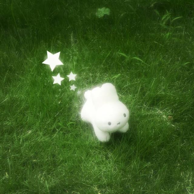 프로필사진