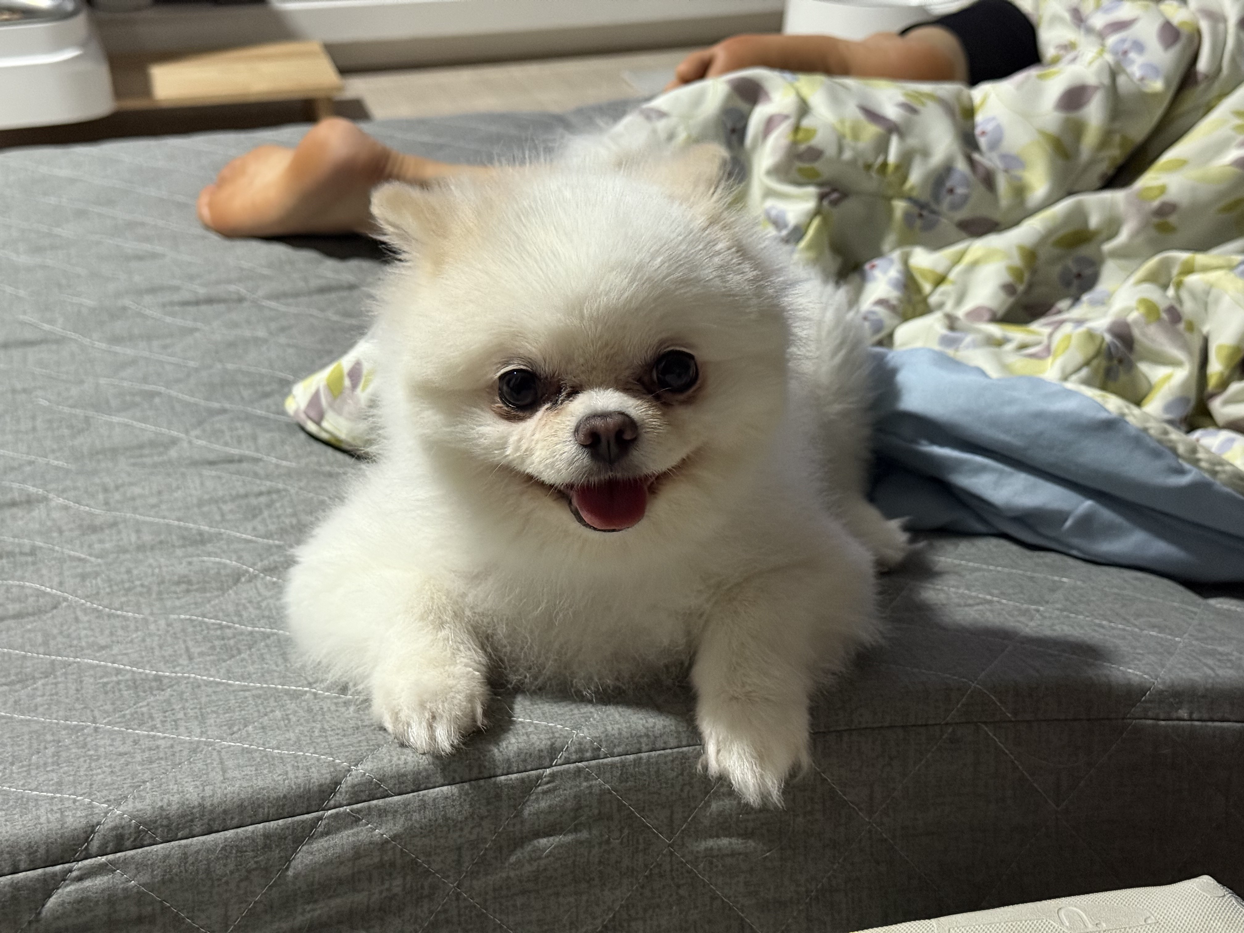 블로그 이미지