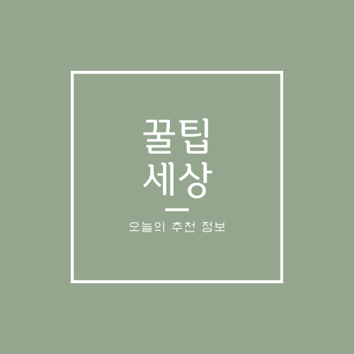 프로필사진