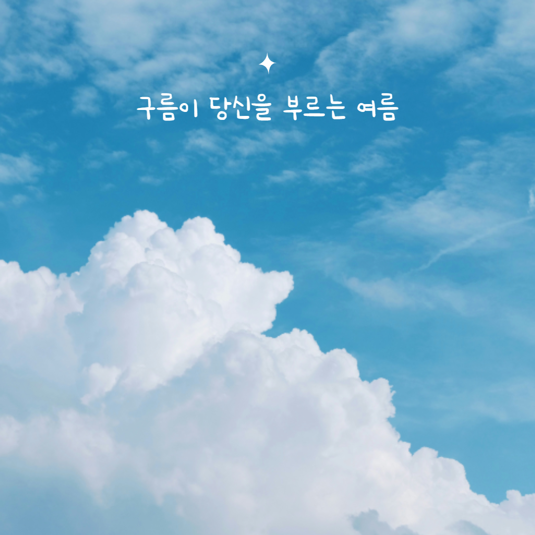 프로필사진