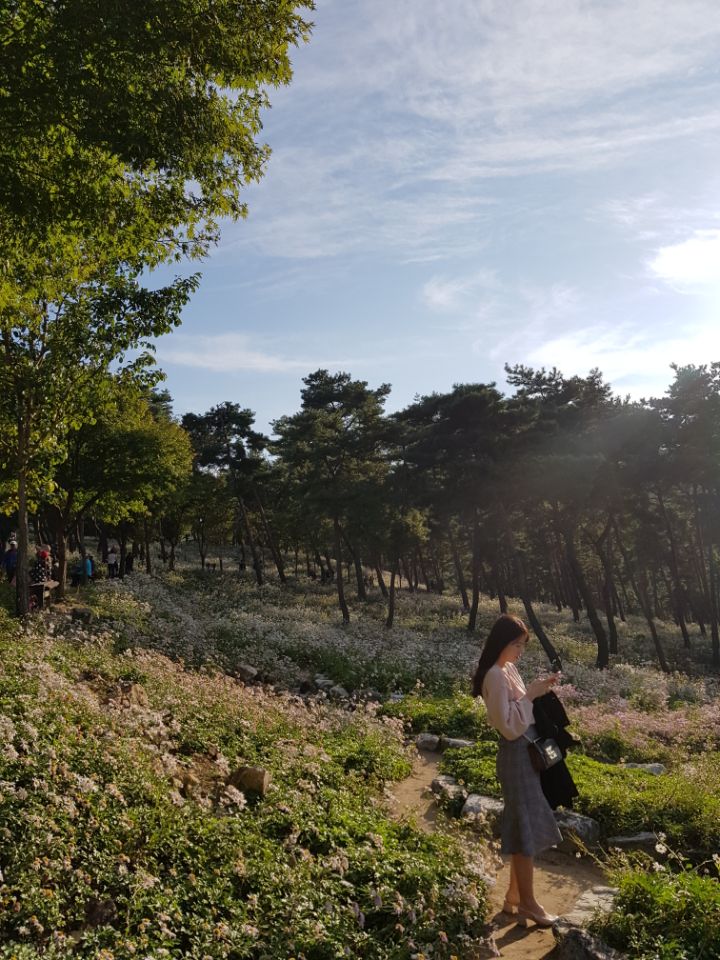 프로필사진