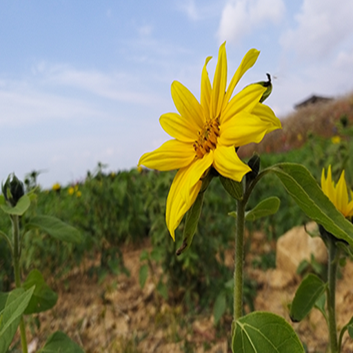 블로그 이미지