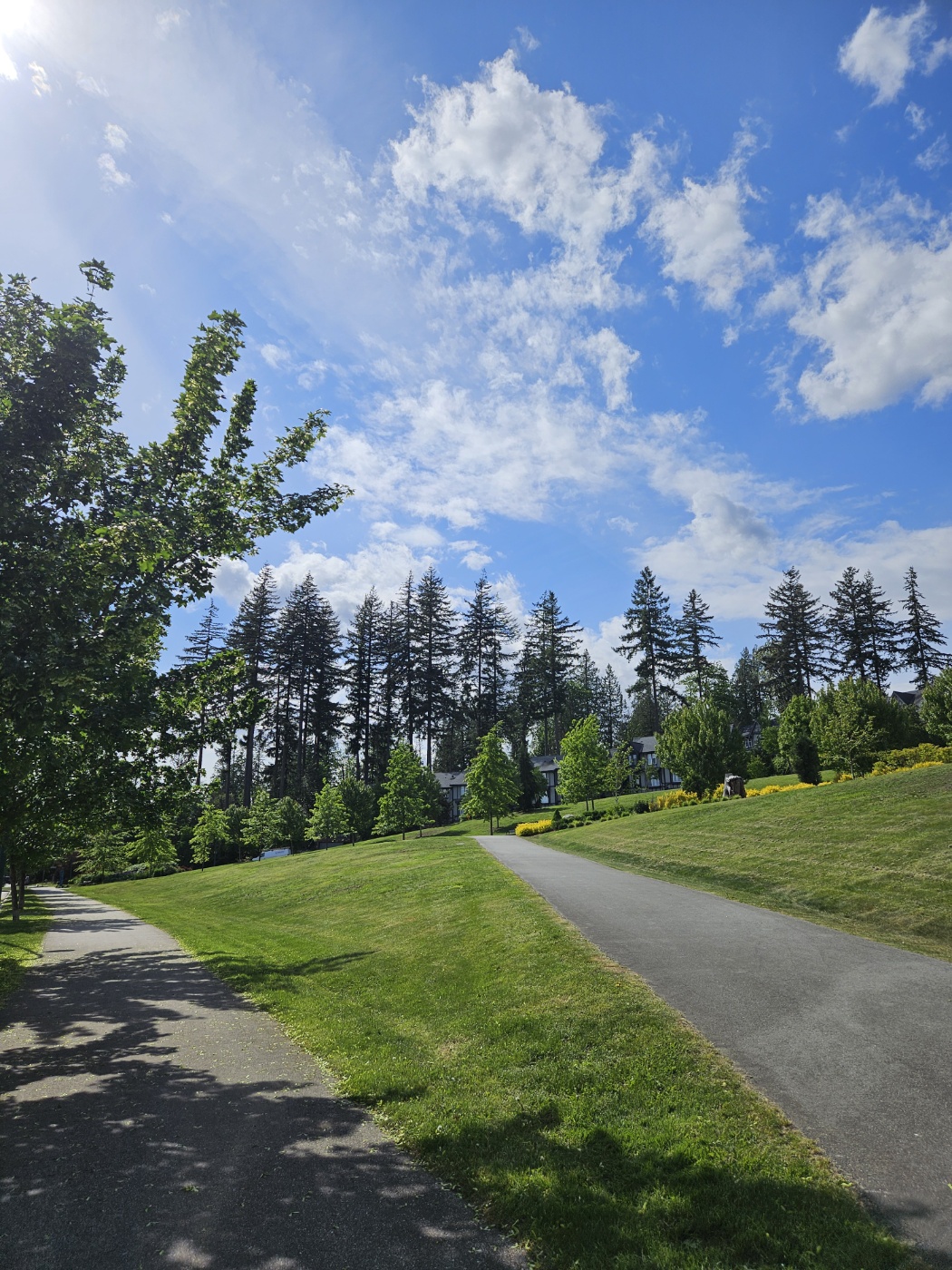 c868d2e8831141208c1a86bd2b4ec61a