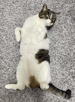 블로그 이미지