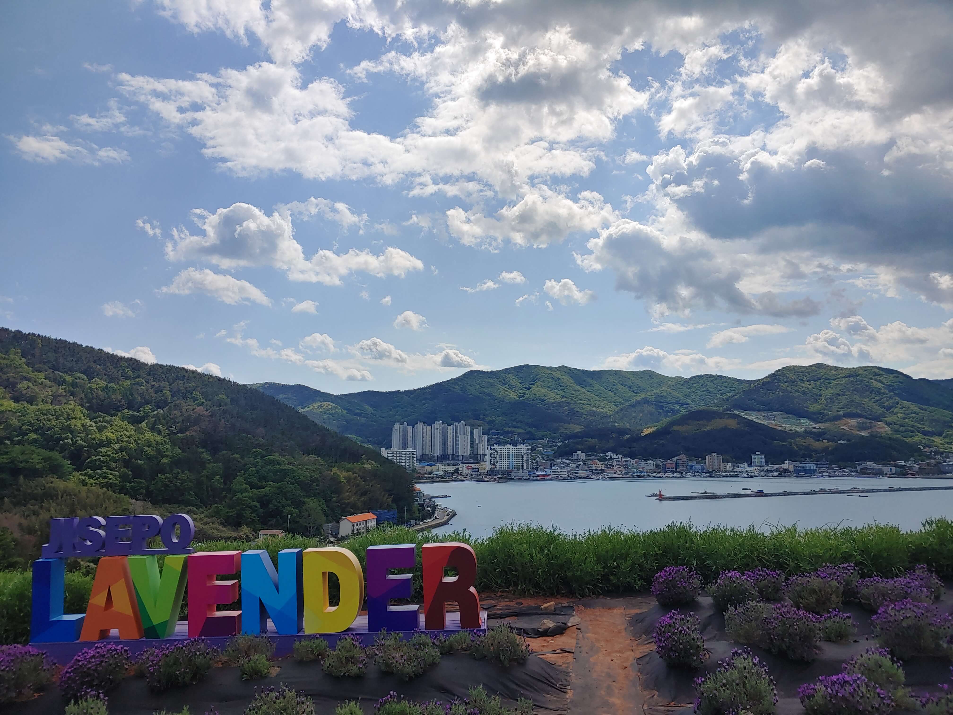 프로필사진
