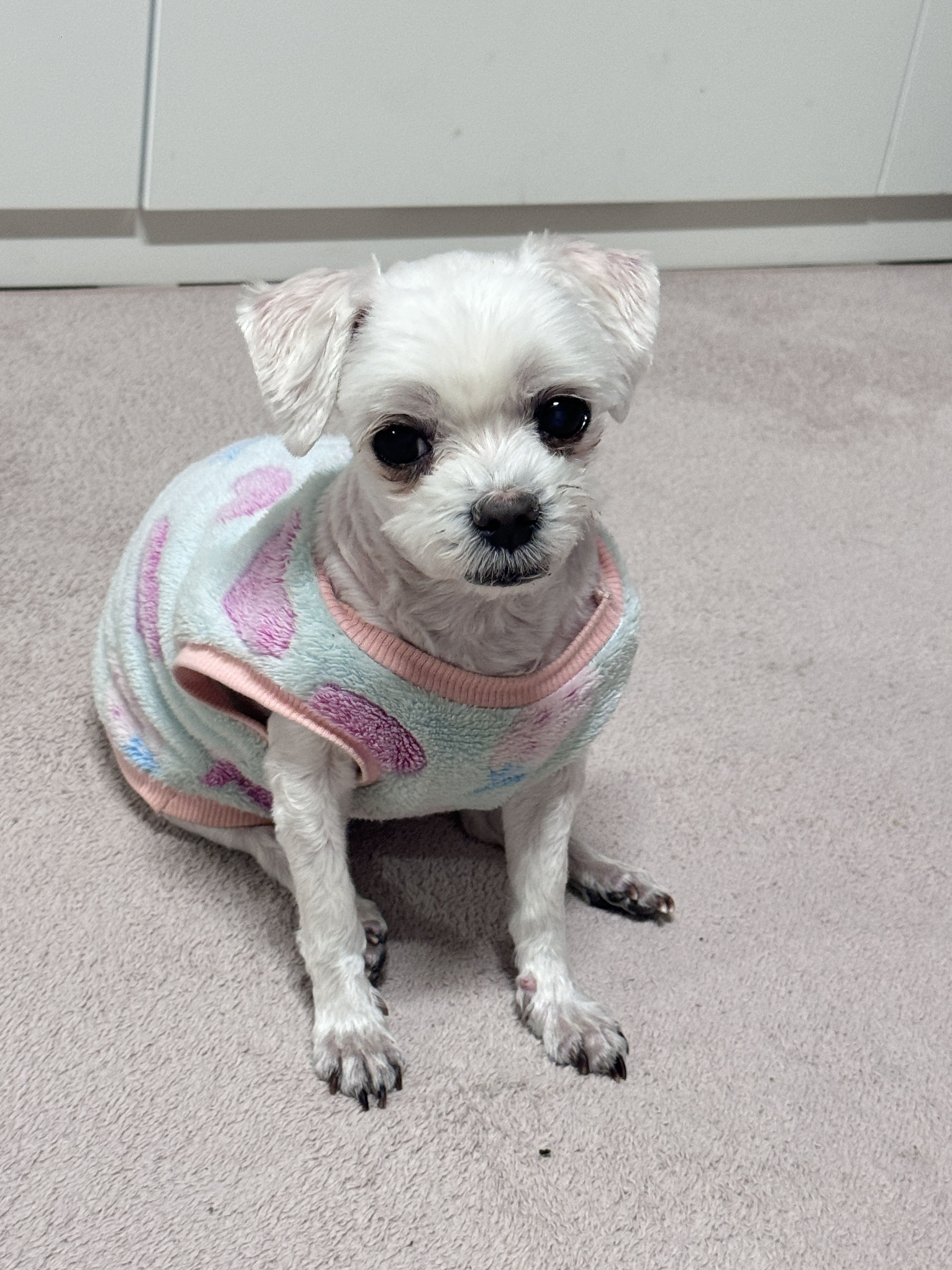 블로그 이미지