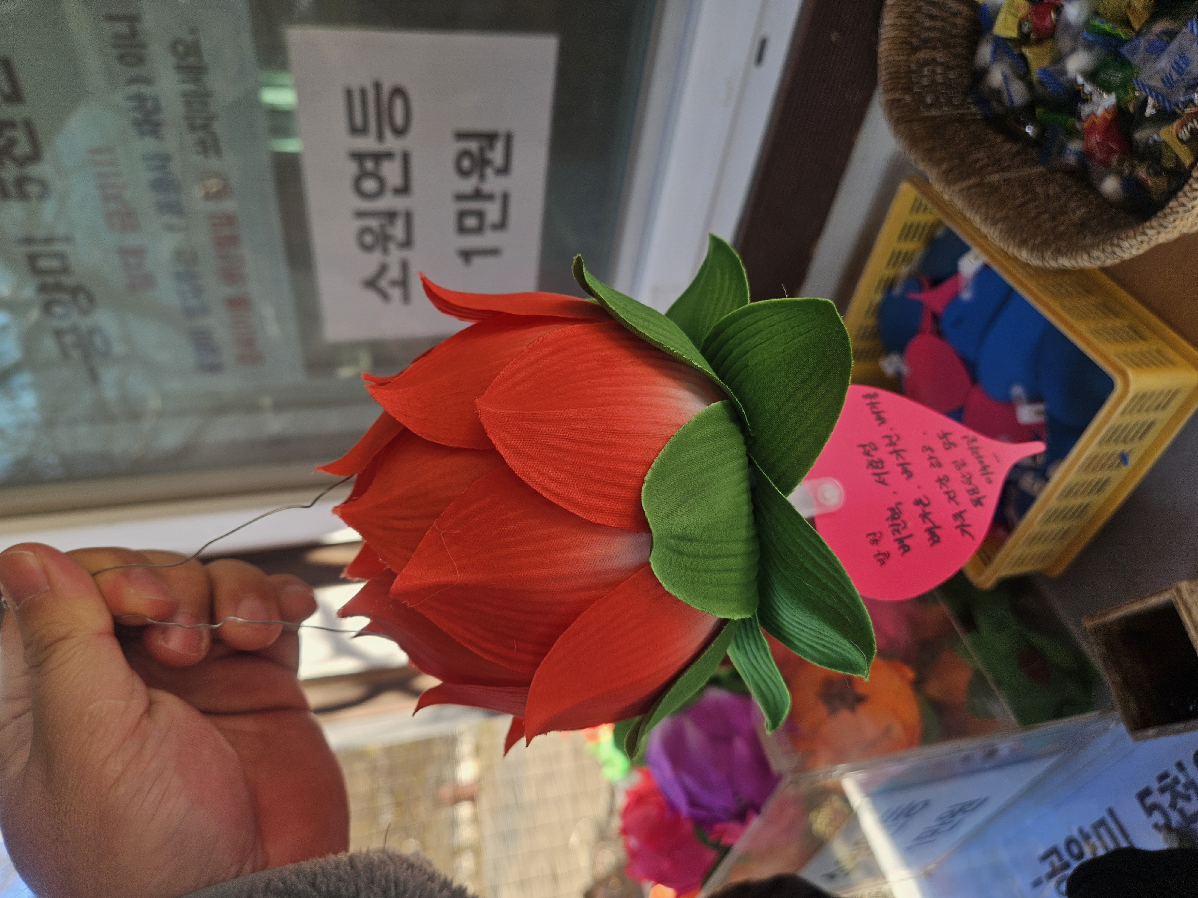 프로필사진