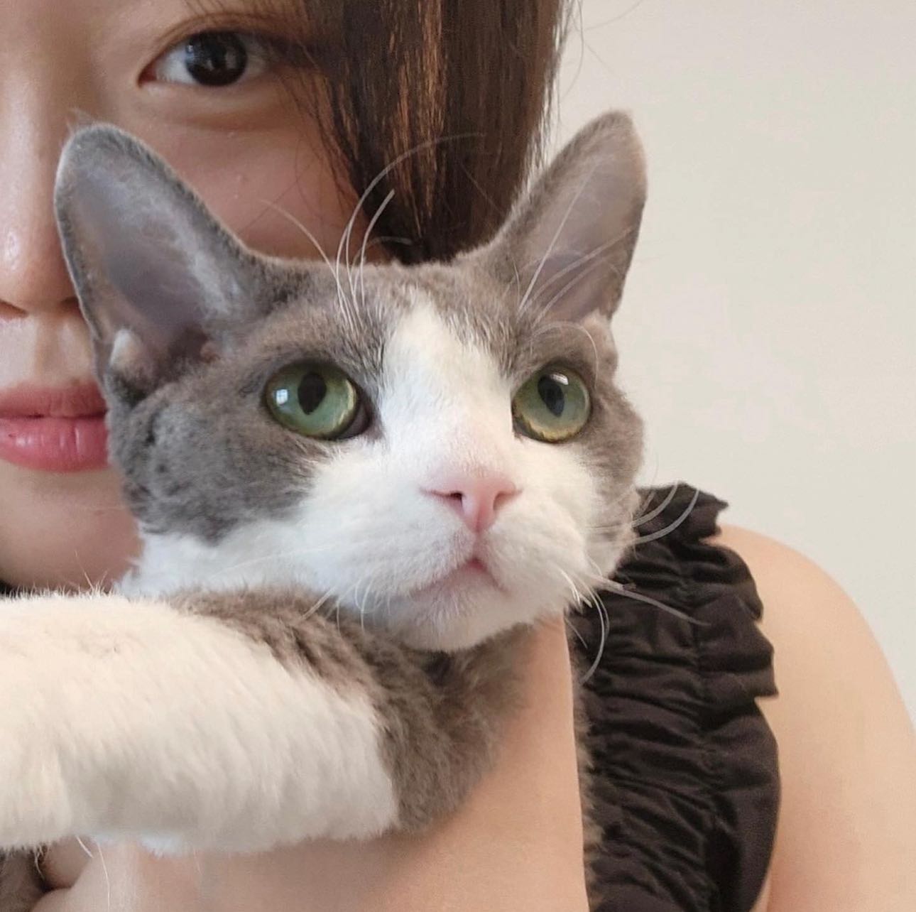 프로필사진