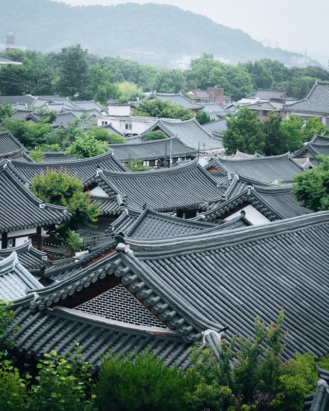 프로필사진