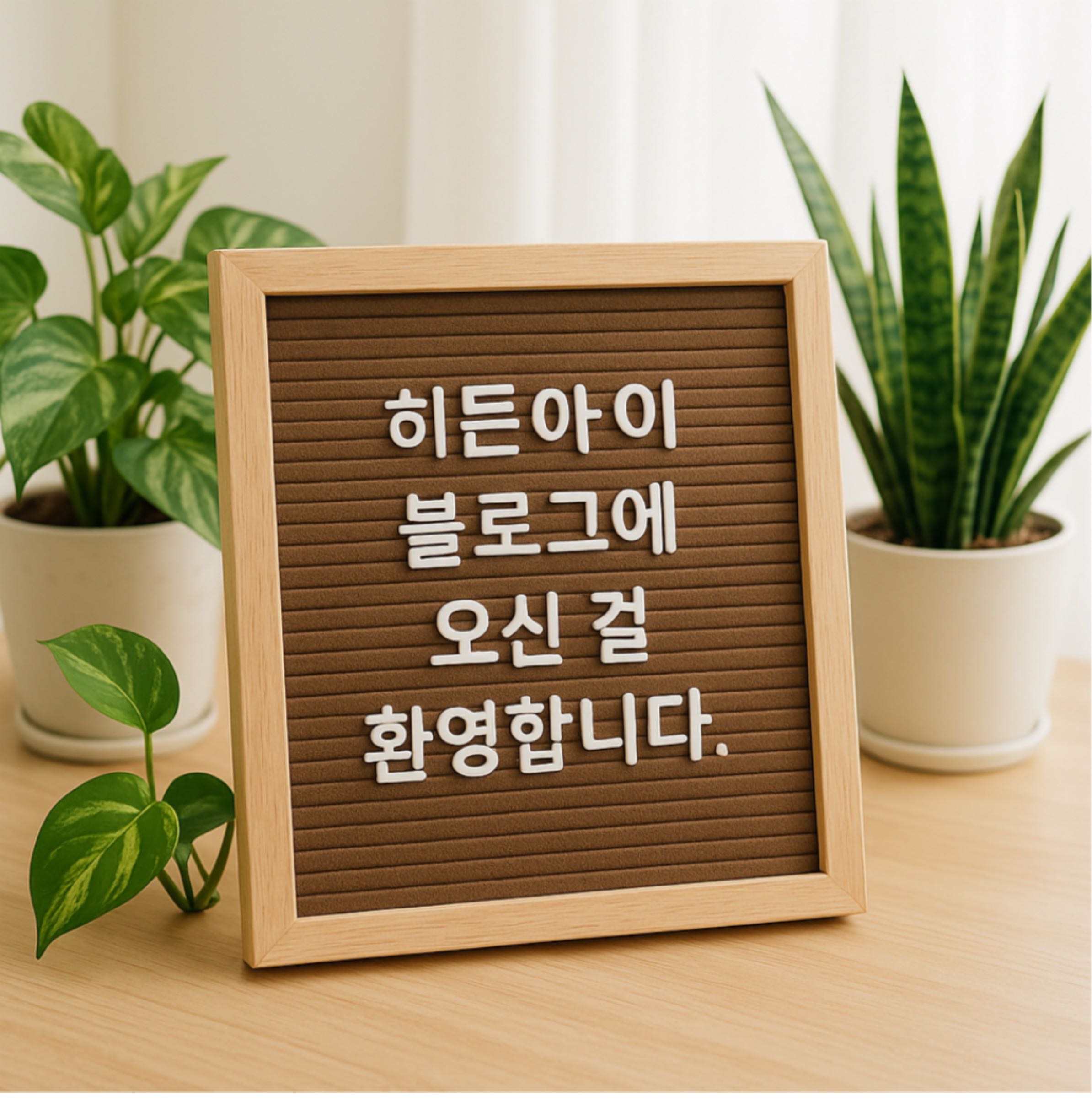 프로필사진