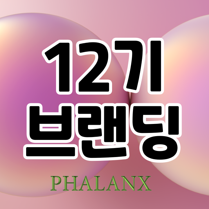 프로필사진