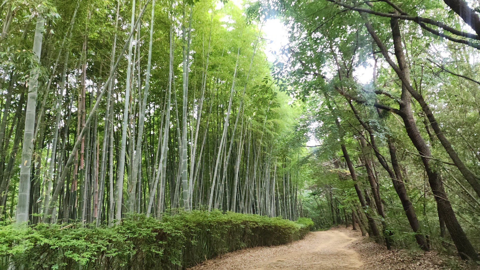 프로필사진