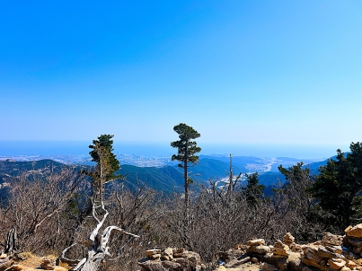 프로필사진