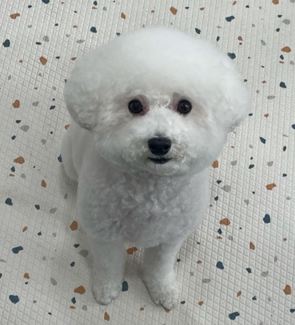 블로그 이미지